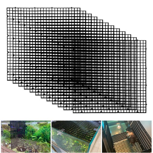 Plastic egg crate - egg, tank